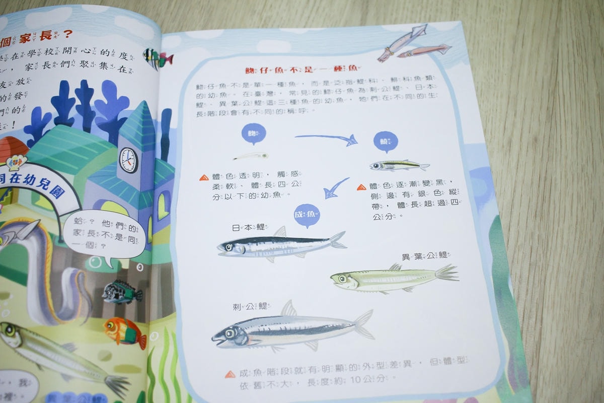 康軒雜誌~學前版、初階版、進階版，「陪伴孩子成長」的優良讀物
