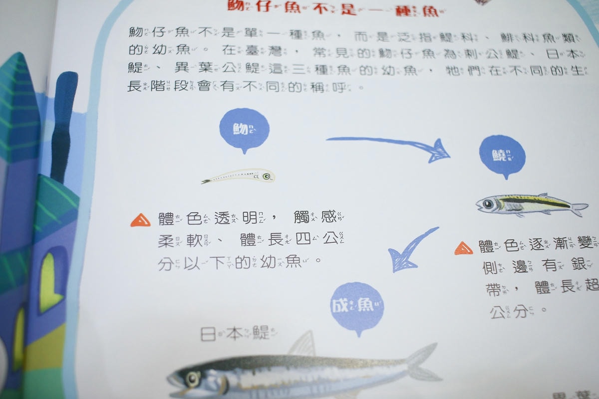 康軒雜誌~學前版、初階版、進階版，「陪伴孩子成長」的優良讀物