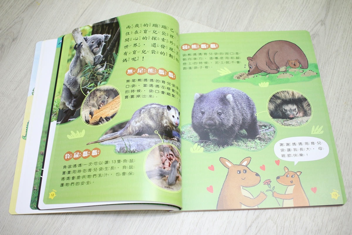 康軒雜誌~學前版、初階版、進階版，「陪伴孩子成長」的優良讀物