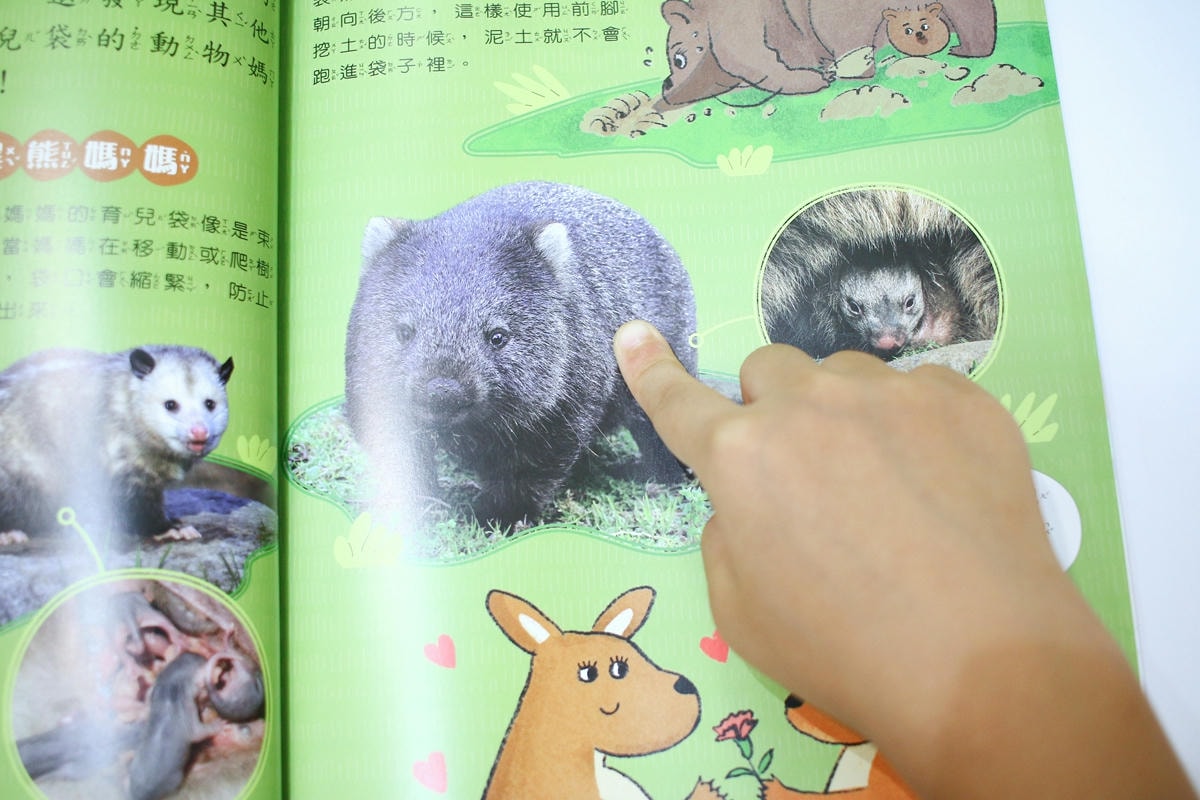 康軒雜誌~學前版、初階版、進階版，「陪伴孩子成長」的優良讀物