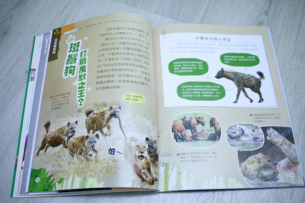 康軒雜誌~學前版、初階版、進階版，「陪伴孩子成長」的優良讀物