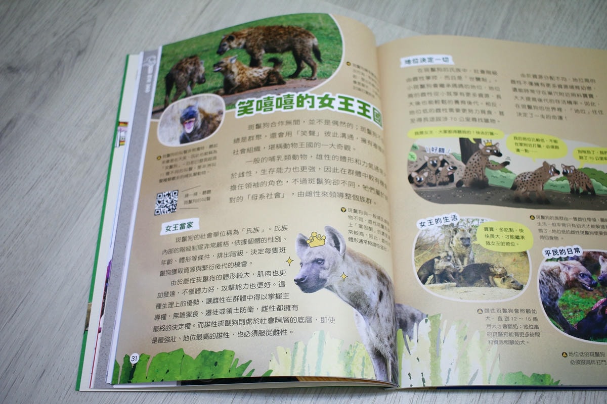 康軒雜誌~學前版、初階版、進階版，「陪伴孩子成長」的優良讀物