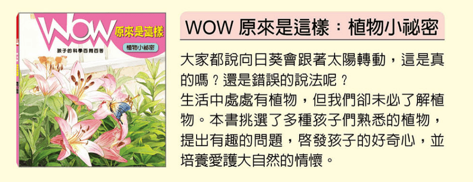 小牛頓科普三書實測：用故事、遊戲、問答，接住孩子爆炸的『為什麼』