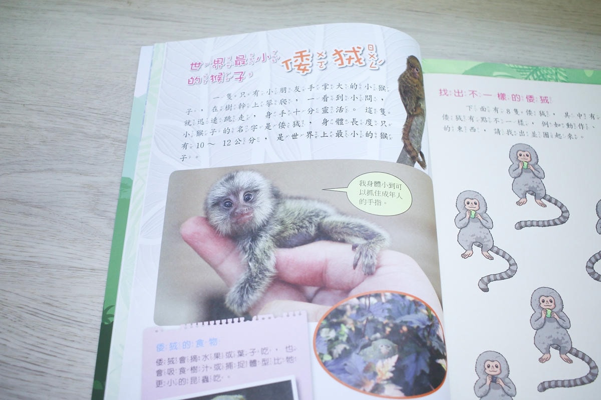 小牛頓科普三書實測：用故事、遊戲、問答，接住孩子爆炸的『為什麼』