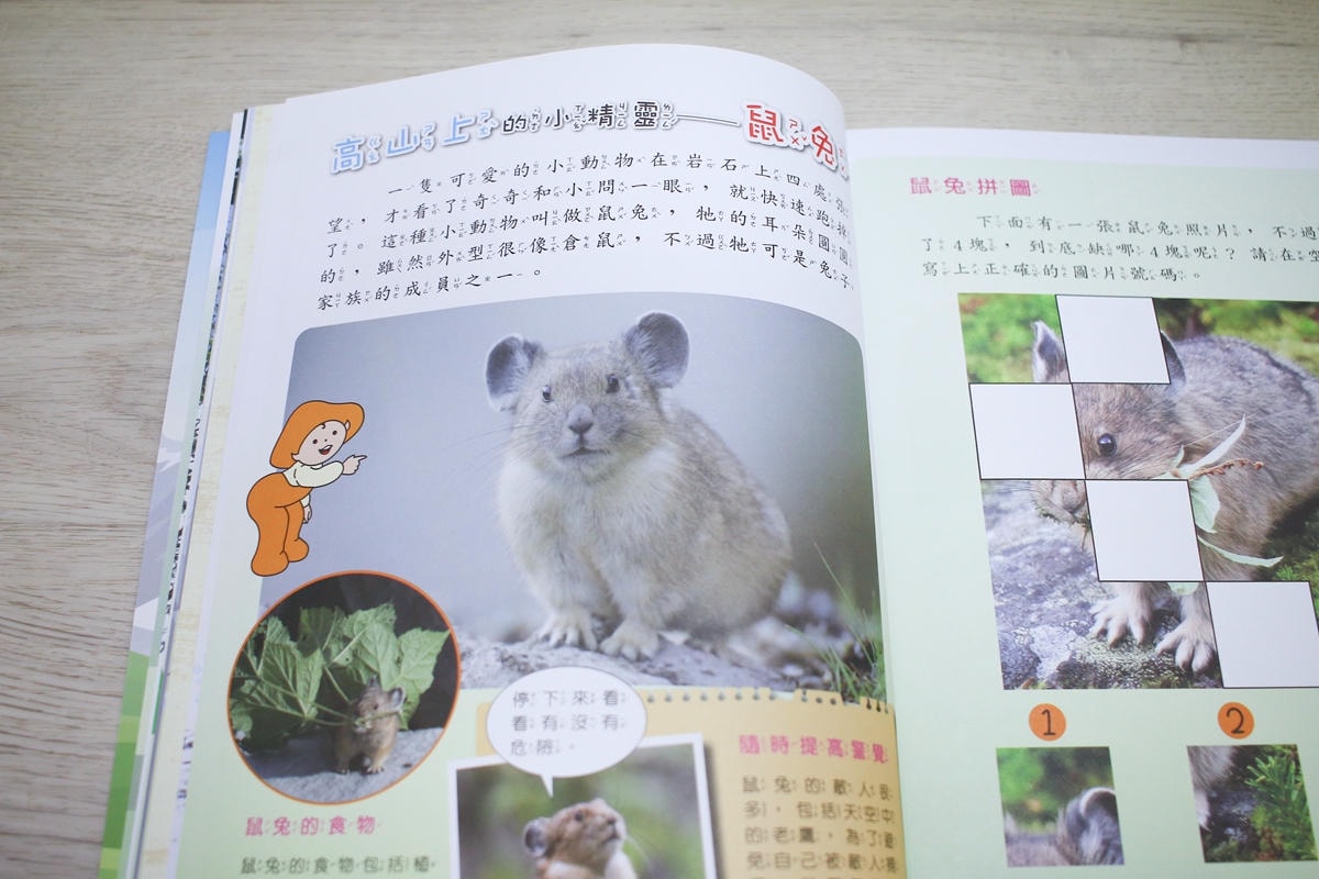 小牛頓科普三書實測：用故事、遊戲、問答，接住孩子爆炸的『為什麼』