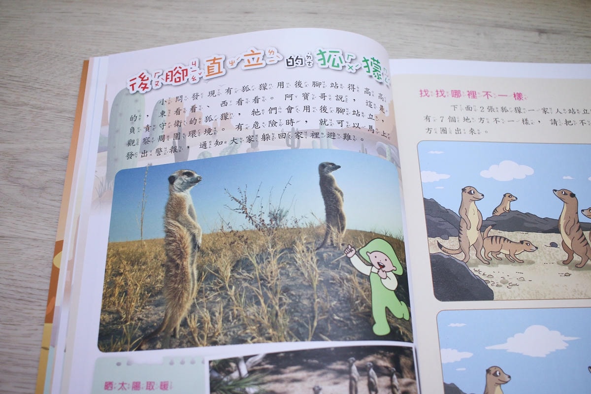 小牛頓科普三書實測：用故事、遊戲、問答，接住孩子爆炸的『為什麼』