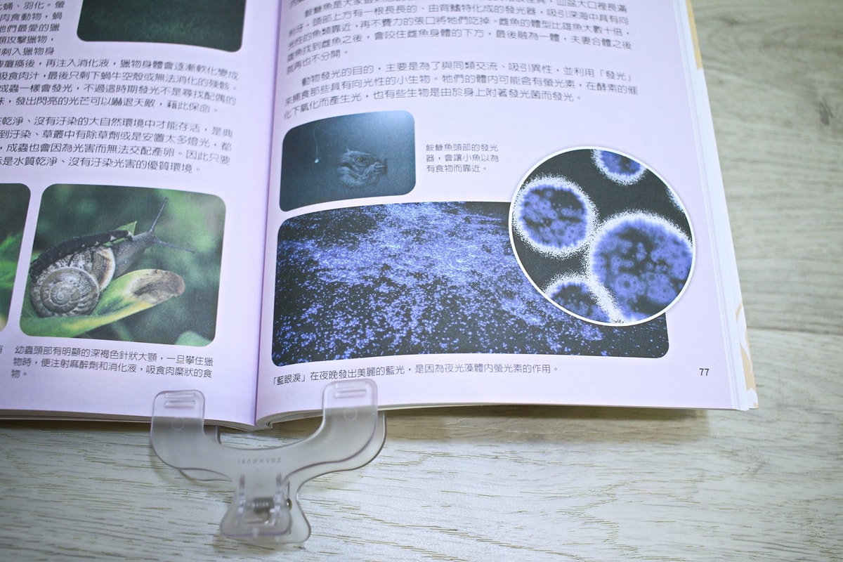 小牛頓的惡童金布魯 簡單的科學、 逗逗鎮幼兒氣象繪本、 一樣不一樣 、漫畫成語百科 從科學到成語，這四套書讓家中小怪獸主動愛上學習！