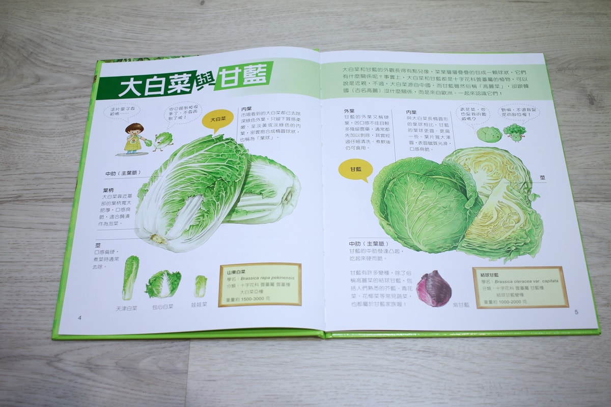 小牛頓的惡童金布魯 簡單的科學、 逗逗鎮幼兒氣象繪本、 一樣不一樣 、漫畫成語百科 從科學到成語，這四套書讓家中小怪獸主動愛上學習！