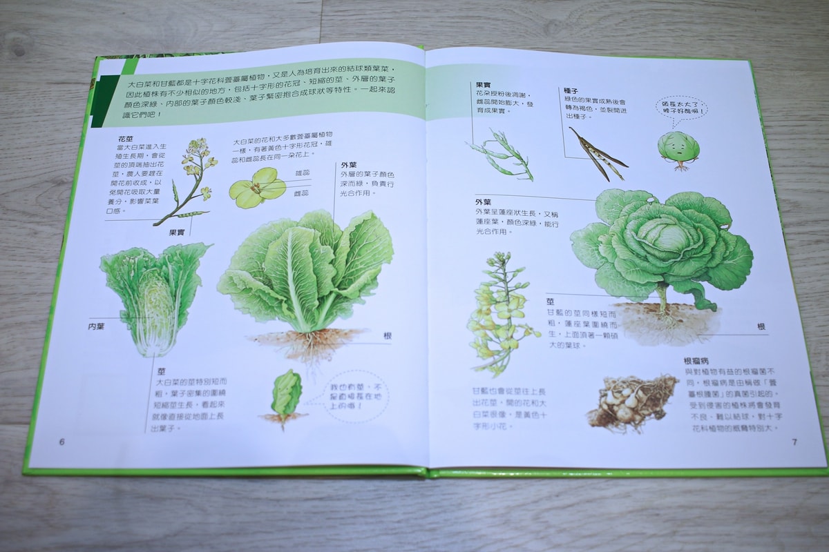 小牛頓的惡童金布魯 簡單的科學、 逗逗鎮幼兒氣象繪本、 一樣不一樣 、漫畫成語百科 從科學到成語，這四套書讓家中小怪獸主動愛上學習！
