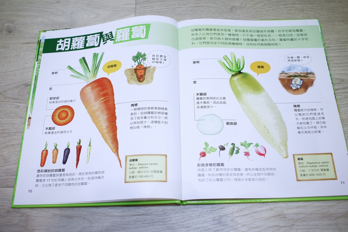 小牛頓的惡童金布魯 簡單的科學、 逗逗鎮幼兒氣象繪本、 一樣不一樣 、漫畫成語百科 從科學到成語，這四套書讓家中小怪獸主動愛上學習！