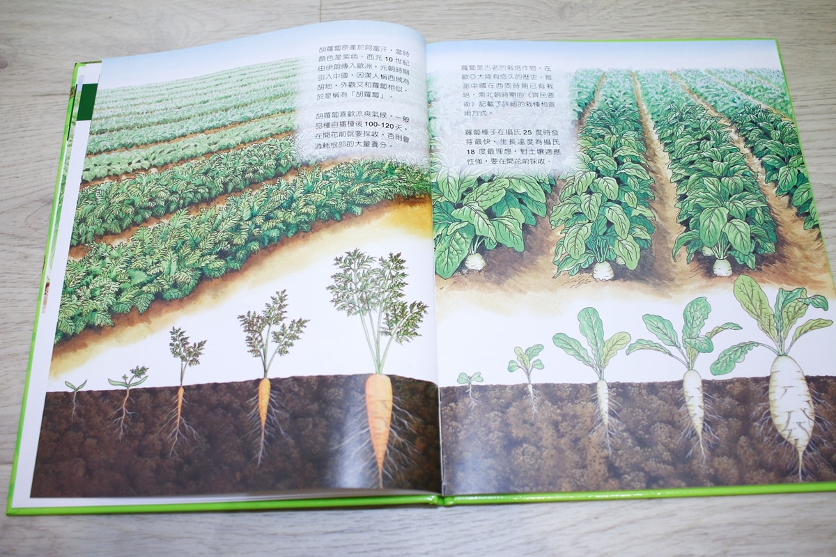 小牛頓的惡童金布魯 簡單的科學、 逗逗鎮幼兒氣象繪本、 一樣不一樣 、漫畫成語百科 從科學到成語，這四套書讓家中小怪獸主動愛上學習！