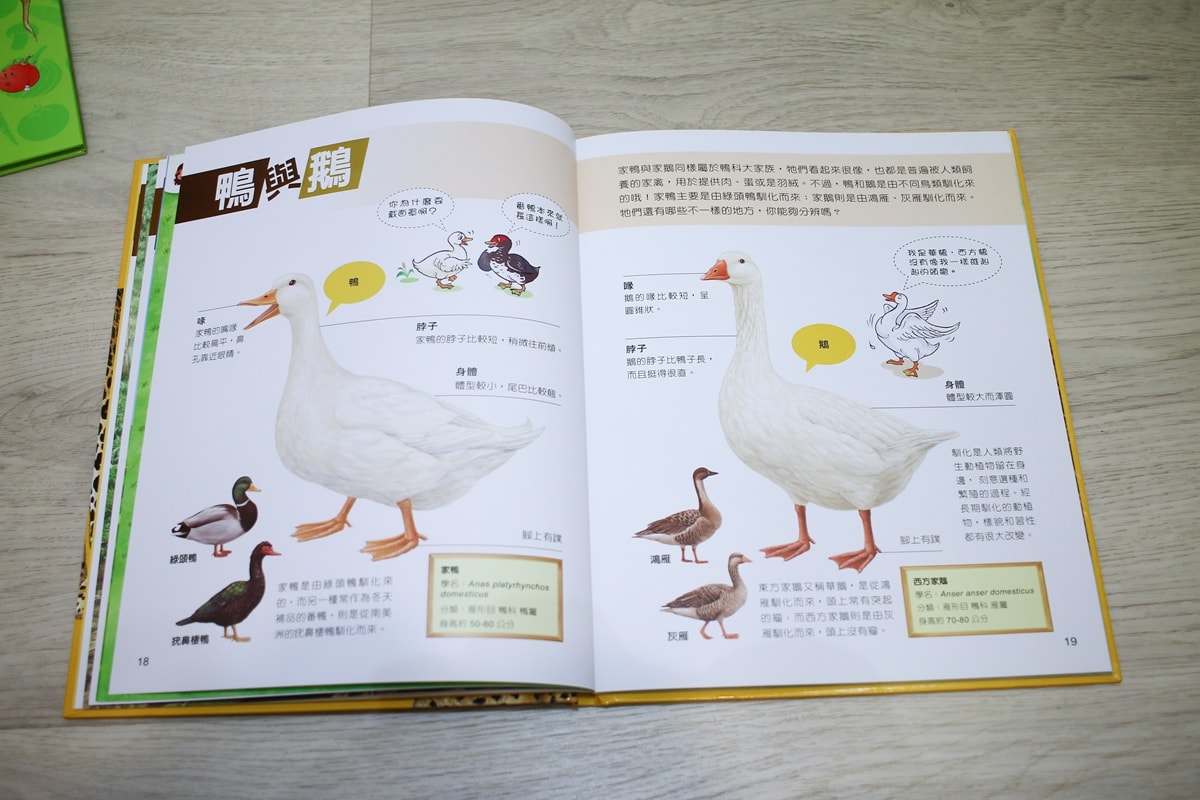 小牛頓的惡童金布魯 簡單的科學、 逗逗鎮幼兒氣象繪本、 一樣不一樣 、漫畫成語百科 從科學到成語，這四套書讓家中小怪獸主動愛上學習！