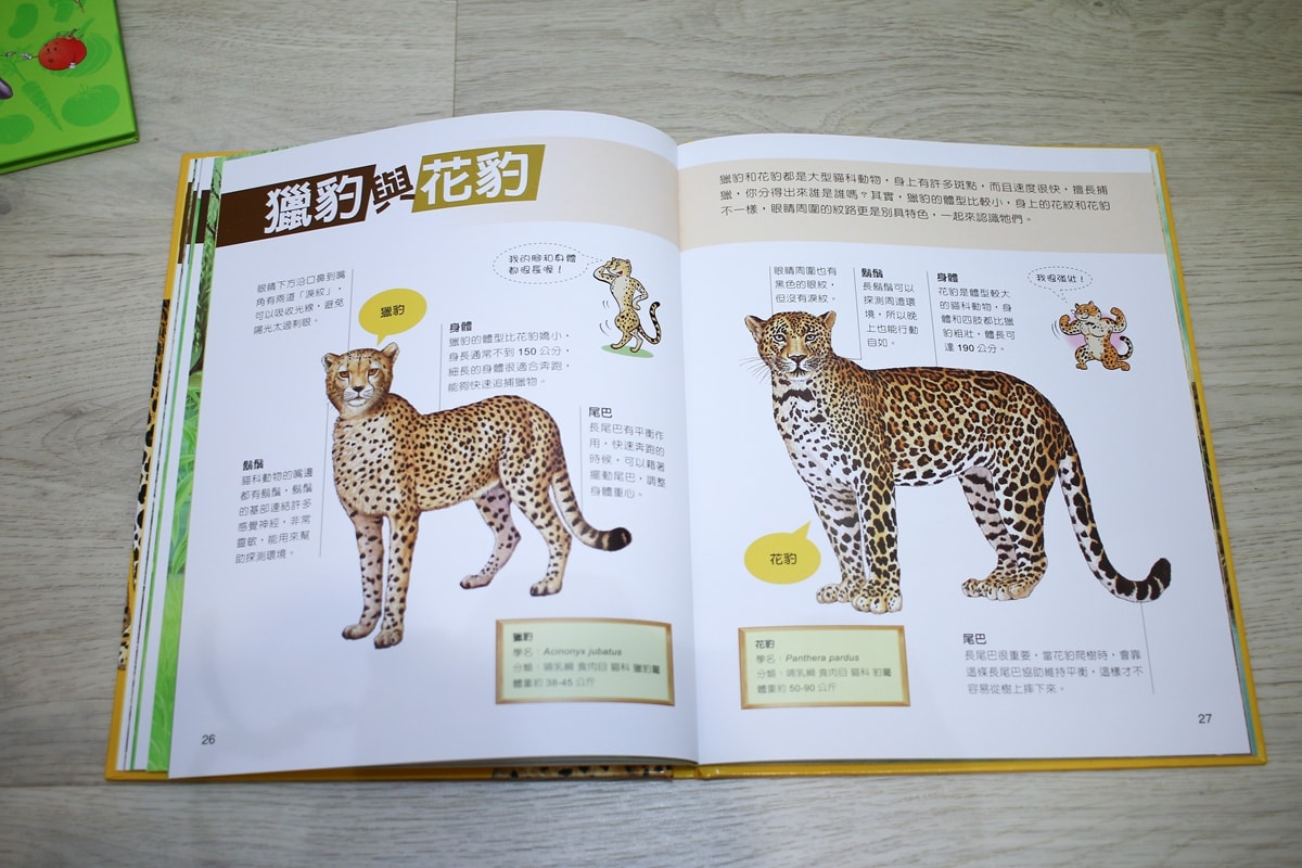 小牛頓的惡童金布魯 簡單的科學、 逗逗鎮幼兒氣象繪本、 一樣不一樣 、漫畫成語百科 從科學到成語，這四套書讓家中小怪獸主動愛上學習！