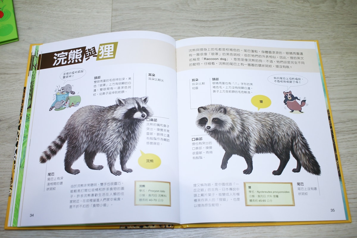 小牛頓的惡童金布魯 簡單的科學、 逗逗鎮幼兒氣象繪本、 一樣不一樣 、漫畫成語百科 從科學到成語，這四套書讓家中小怪獸主動愛上學習！