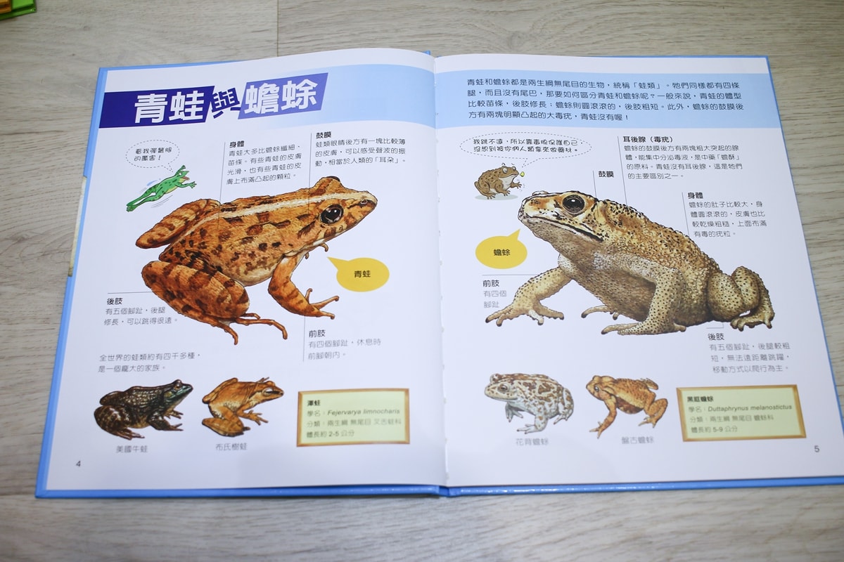 小牛頓的惡童金布魯 簡單的科學、 逗逗鎮幼兒氣象繪本、 一樣不一樣 、漫畫成語百科 從科學到成語，這四套書讓家中小怪獸主動愛上學習！