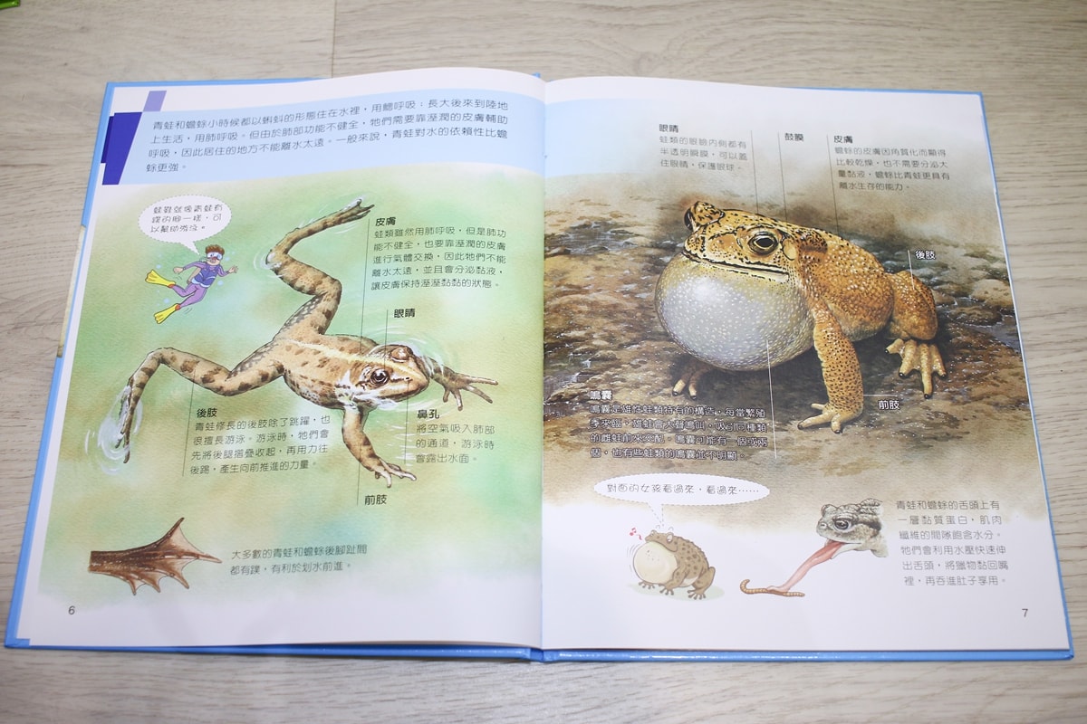 小牛頓的惡童金布魯 簡單的科學、 逗逗鎮幼兒氣象繪本、 一樣不一樣 、漫畫成語百科 從科學到成語，這四套書讓家中小怪獸主動愛上學習！