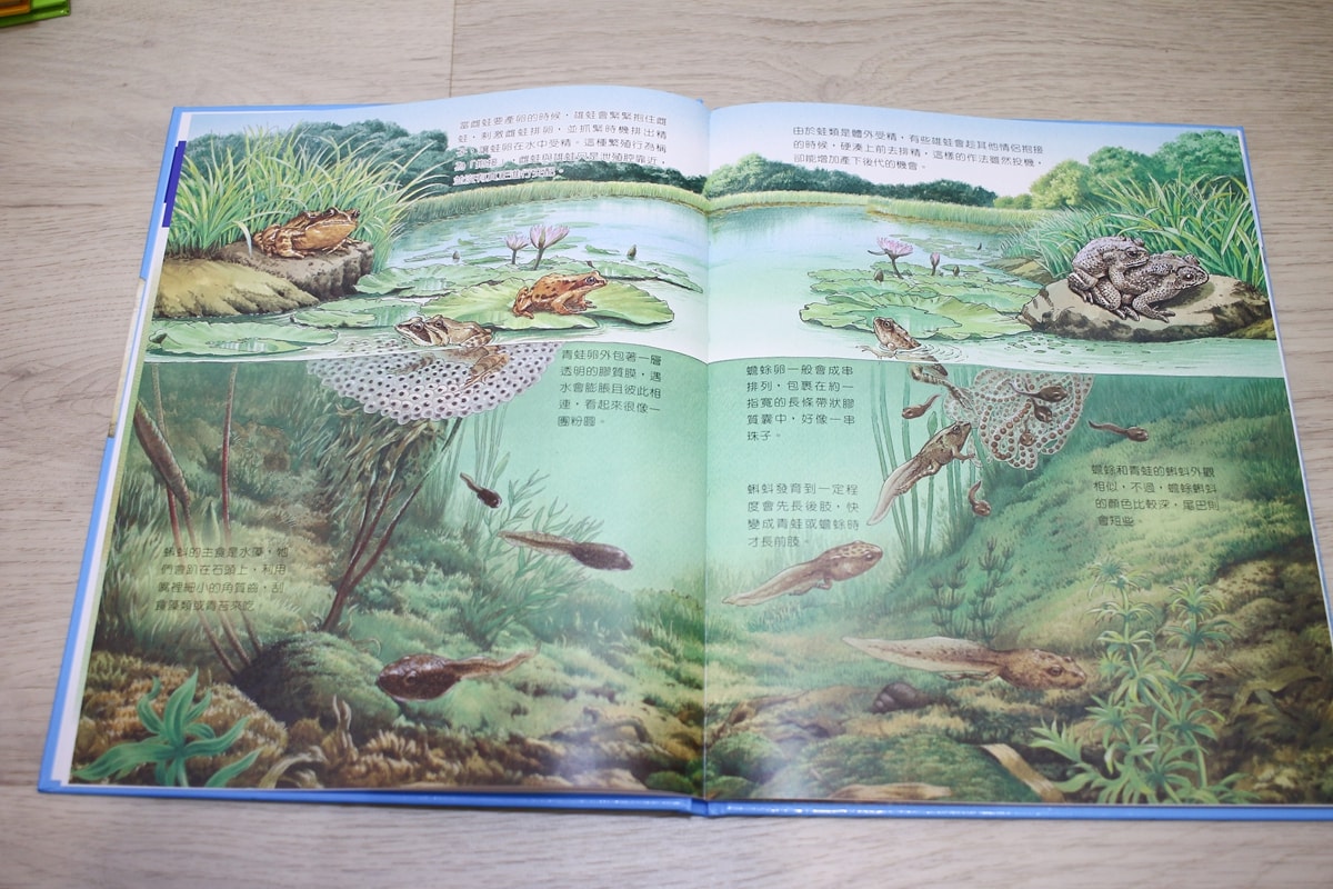 小牛頓的惡童金布魯 簡單的科學、 逗逗鎮幼兒氣象繪本、 一樣不一樣 、漫畫成語百科 從科學到成語，這四套書讓家中小怪獸主動愛上學習！