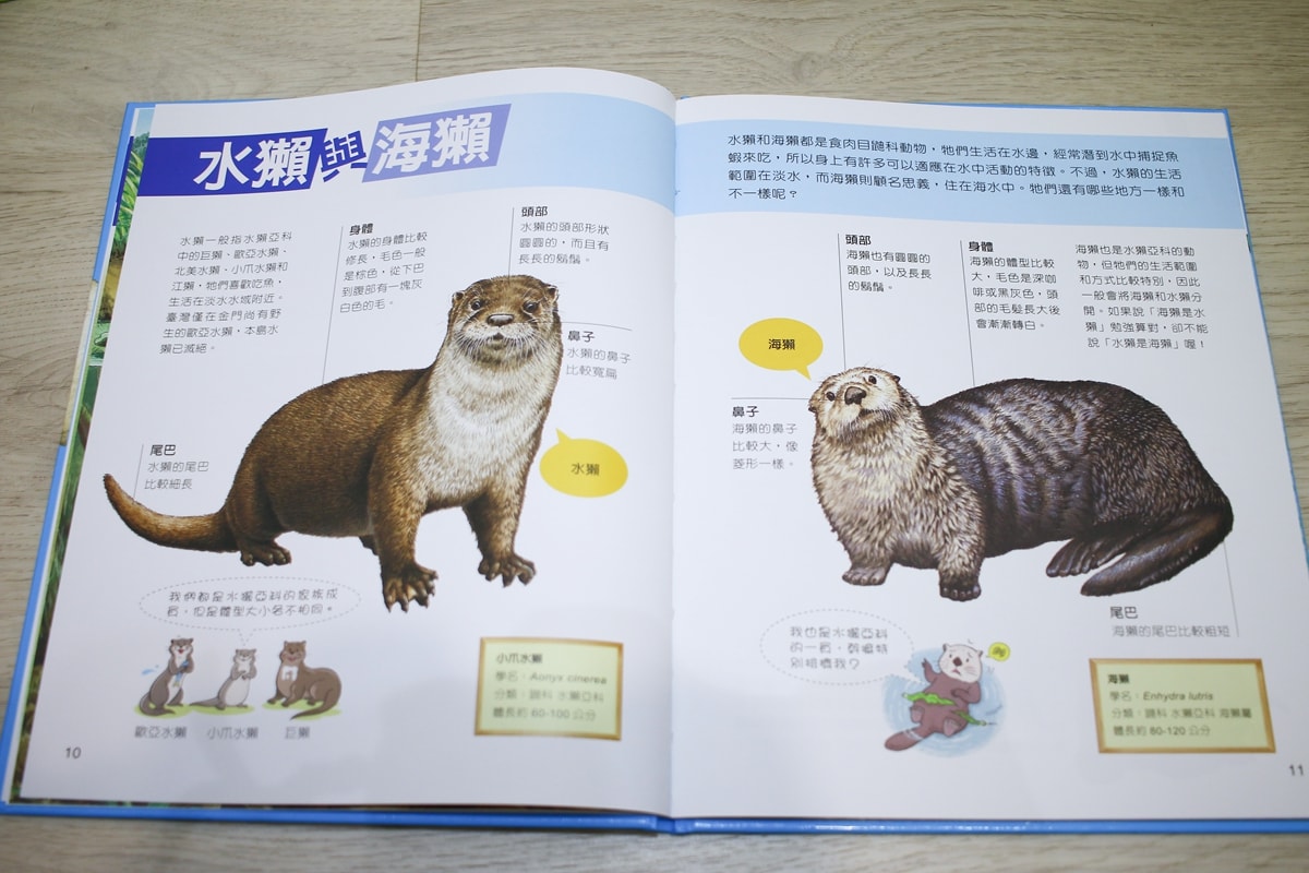 小牛頓的惡童金布魯 簡單的科學、 逗逗鎮幼兒氣象繪本、 一樣不一樣 、漫畫成語百科 從科學到成語，這四套書讓家中小怪獸主動愛上學習！