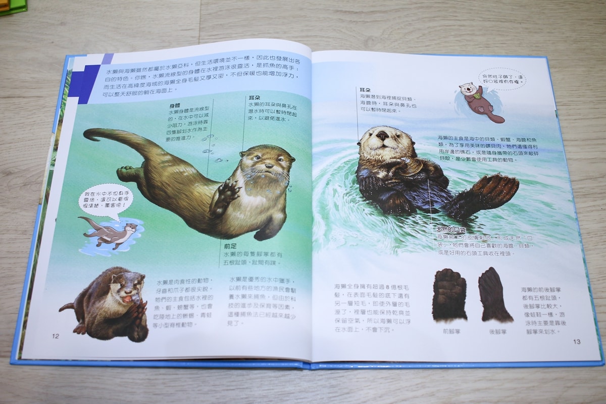 小牛頓的惡童金布魯 簡單的科學、 逗逗鎮幼兒氣象繪本、 一樣不一樣 、漫畫成語百科 從科學到成語，這四套書讓家中小怪獸主動愛上學習！