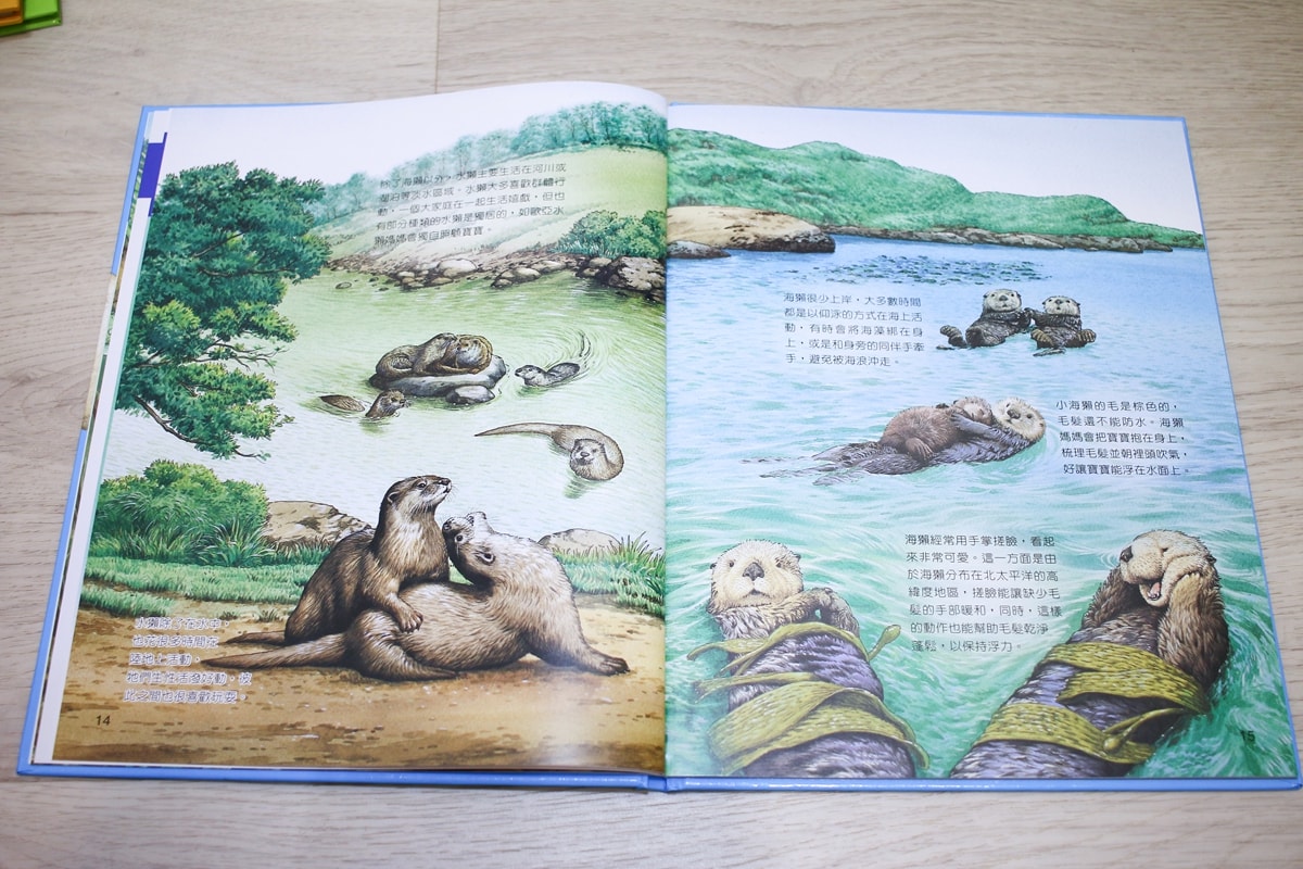 小牛頓的惡童金布魯 簡單的科學、 逗逗鎮幼兒氣象繪本、 一樣不一樣 、漫畫成語百科 從科學到成語，這四套書讓家中小怪獸主動愛上學習！