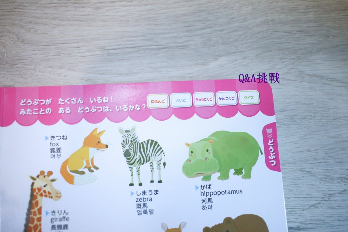幼兒學習 四語圖解字典 讓孩子學習許多字彙的好物     KidsRead點讀筆推薦