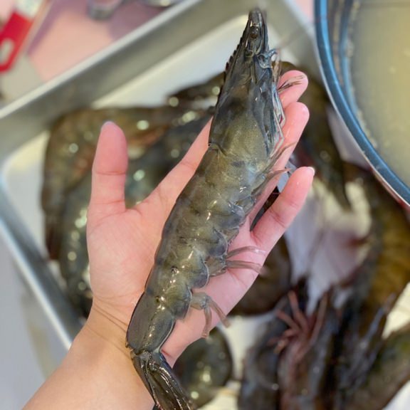 【團購】蝦太太 超新鮮的冷凍魚蝦團 令人驚豔的新鮮品質