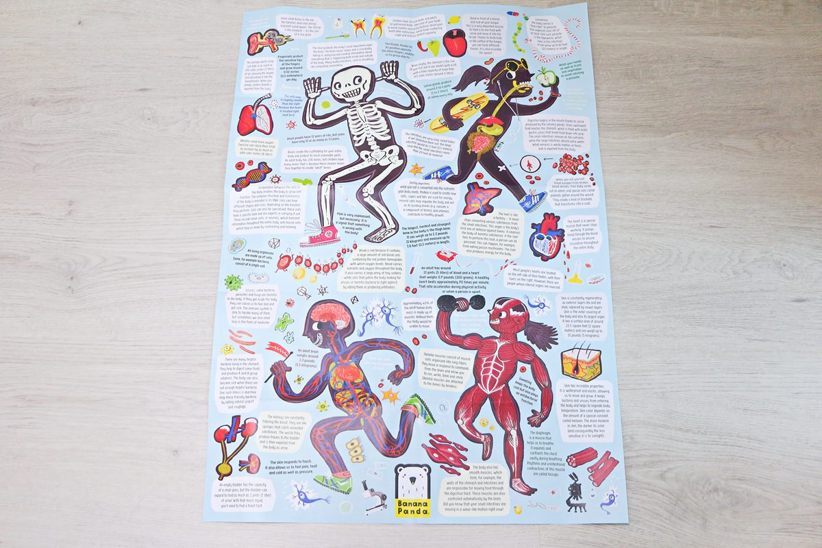 Banana Panda教育拼圖與閃卡 能增進孩子的認知與知識,很不一樣的拼圖~ - 第91張圖 Banana Panda教育拼圖與閃卡 能增進孩子的認知與知識,很不一樣的拼圖~