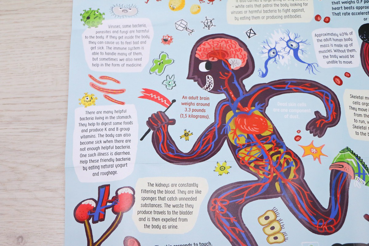 Banana Panda教育拼圖與閃卡 能增進孩子的認知與知識,很不一樣的拼圖~ - 第92張圖 Banana Panda教育拼圖與閃卡 能增進孩子的認知與知識,很不一樣的拼圖~