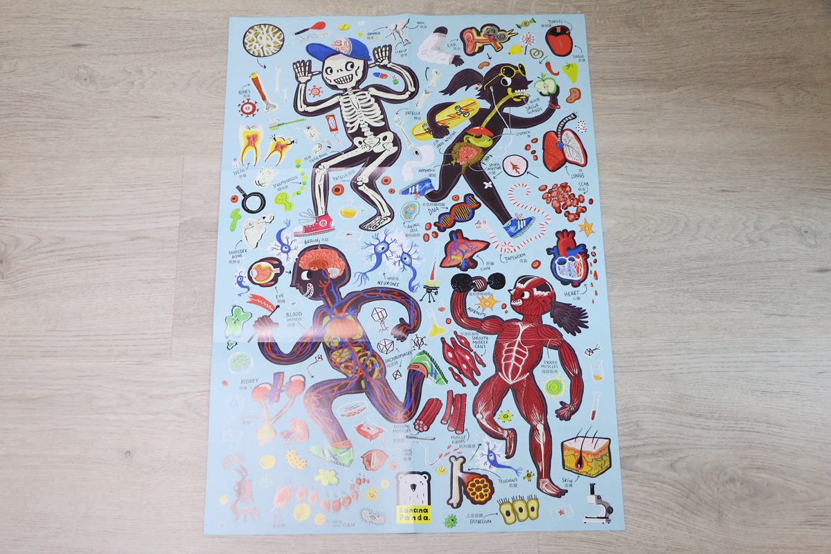 Banana Panda教育拼圖與閃卡 能增進孩子的認知與知識,很不一樣的拼圖~ - 第90張圖 Banana Panda教育拼圖與閃卡 能增進孩子的認知與知識,很不一樣的拼圖~