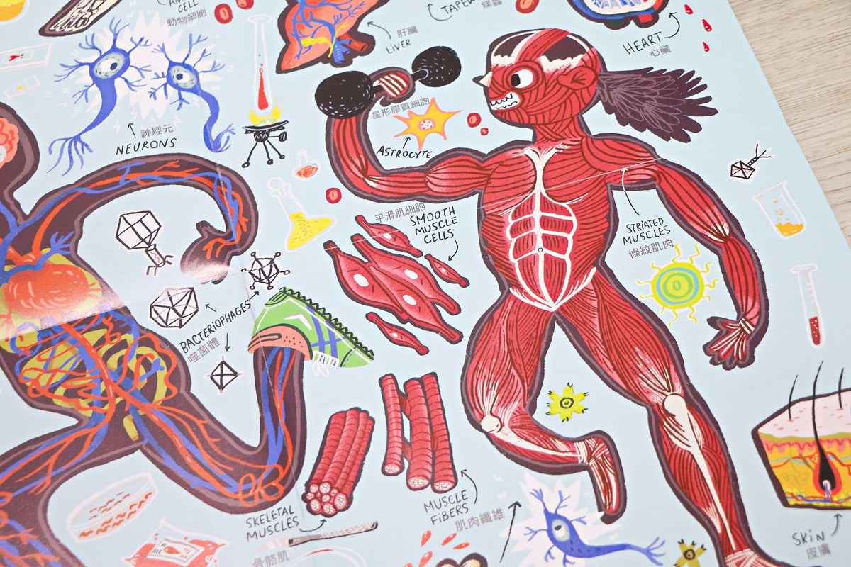 Banana Panda教育拼圖與閃卡 能增進孩子的認知與知識,很不一樣的拼圖~ - 第93張圖 Banana Panda教育拼圖與閃卡 能增進孩子的認知與知識,很不一樣的拼圖~