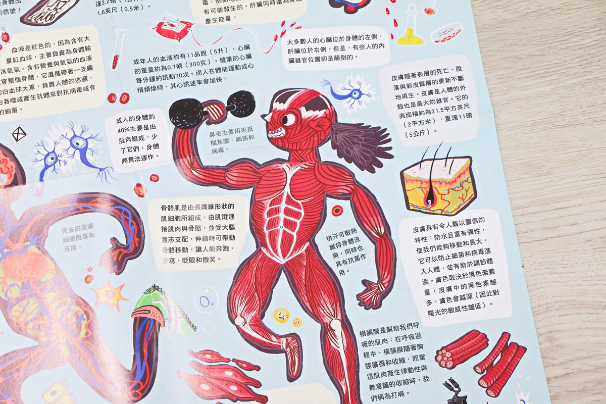 Banana Panda教育拼圖與閃卡 能增進孩子的認知與知識,很不一樣的拼圖~ - 第94張圖 Banana Panda教育拼圖與閃卡 能增進孩子的認知與知識,很不一樣的拼圖~