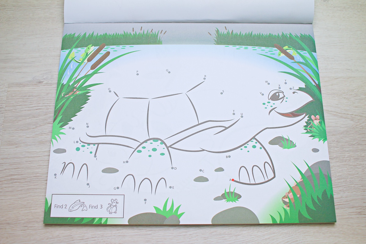 【團購】酷蠟石大豆蠟筆(和著色繪本)Crayon Rocks  色彩豐富、三點握姿輕鬆運筆