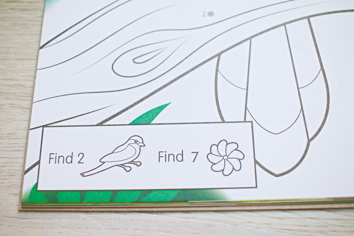 【團購】酷蠟石大豆蠟筆(和著色繪本)Crayon Rocks  色彩豐富、三點握姿輕鬆運筆