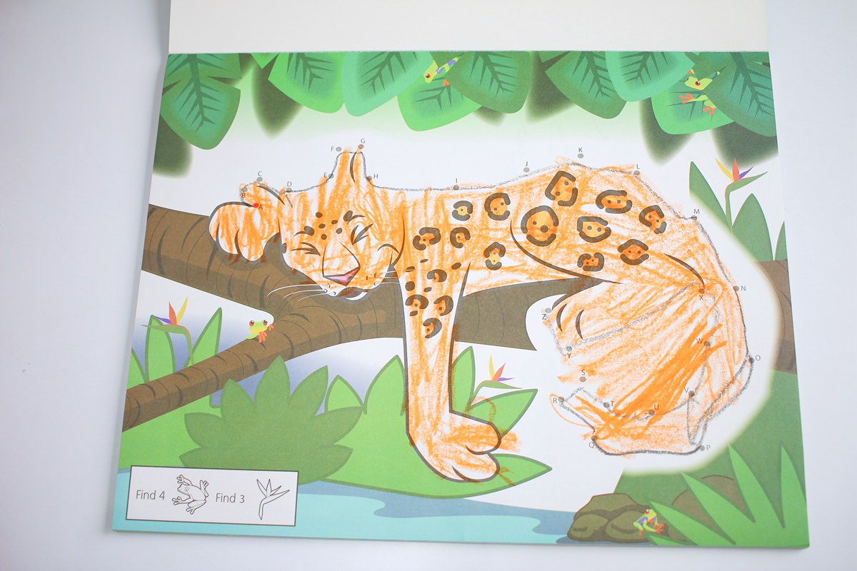 【團購】酷蠟石大豆蠟筆(和著色繪本)Crayon Rocks  色彩豐富、三點握姿輕鬆運筆