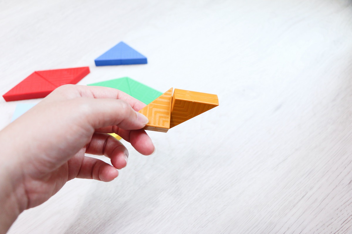 【團購】日本ED.INTER 積木、益智木頭玩具 可以玩很久的益智遊戲