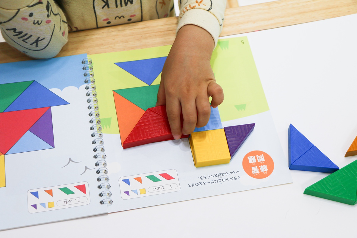 【團購】日本ED.INTER 積木、益智木頭玩具 可以玩很久的益智遊戲