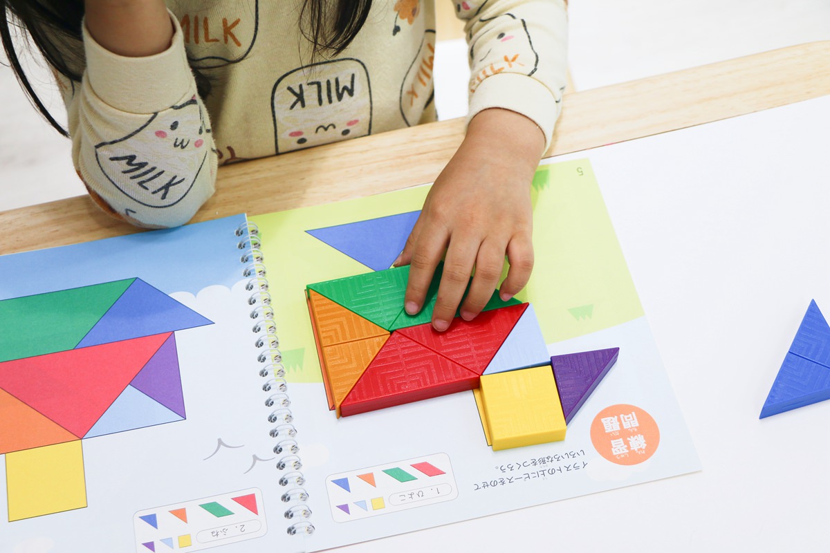 【團購】日本ED.INTER 積木、益智木頭玩具 可以玩很久的益智遊戲