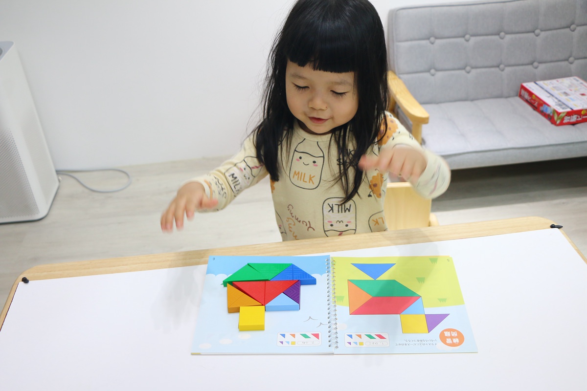 【團購】日本ED.INTER 積木、益智木頭玩具 可以玩很久的益智遊戲