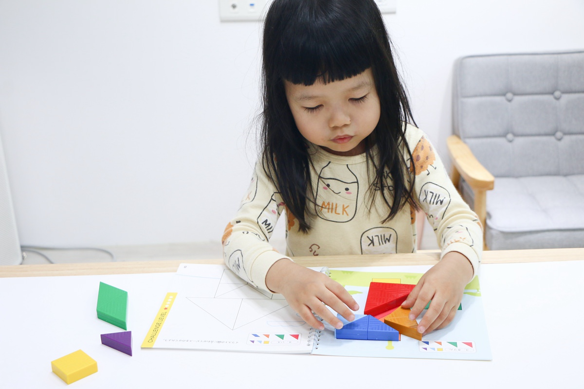 【團購】日本ED.INTER 積木、益智木頭玩具 可以玩很久的益智遊戲