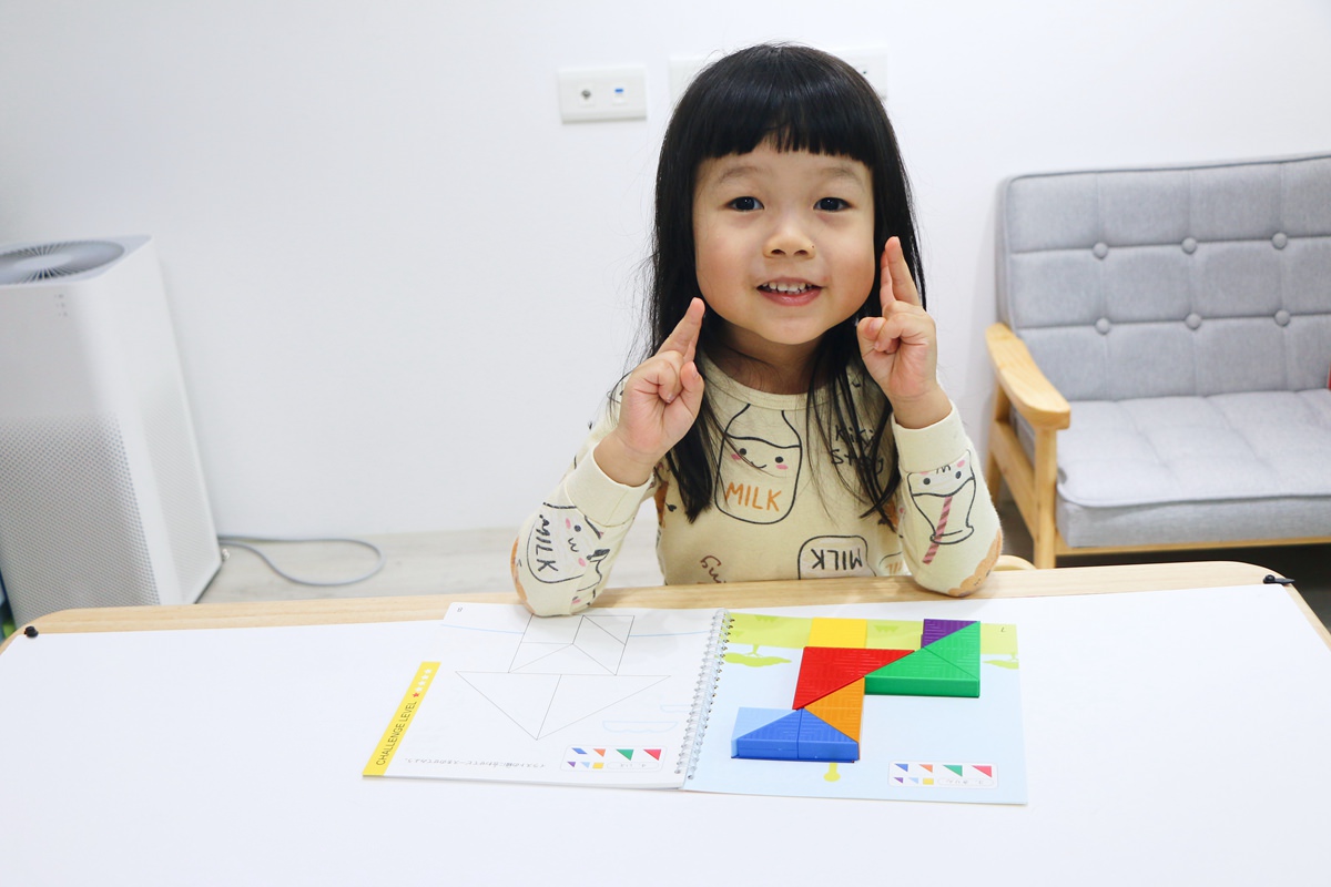 【團購】日本ED.INTER 積木、益智木頭玩具 可以玩很久的益智遊戲