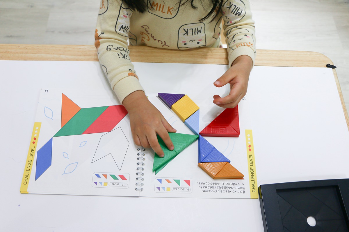 【團購】日本ED.INTER 積木、益智木頭玩具 可以玩很久的益智遊戲