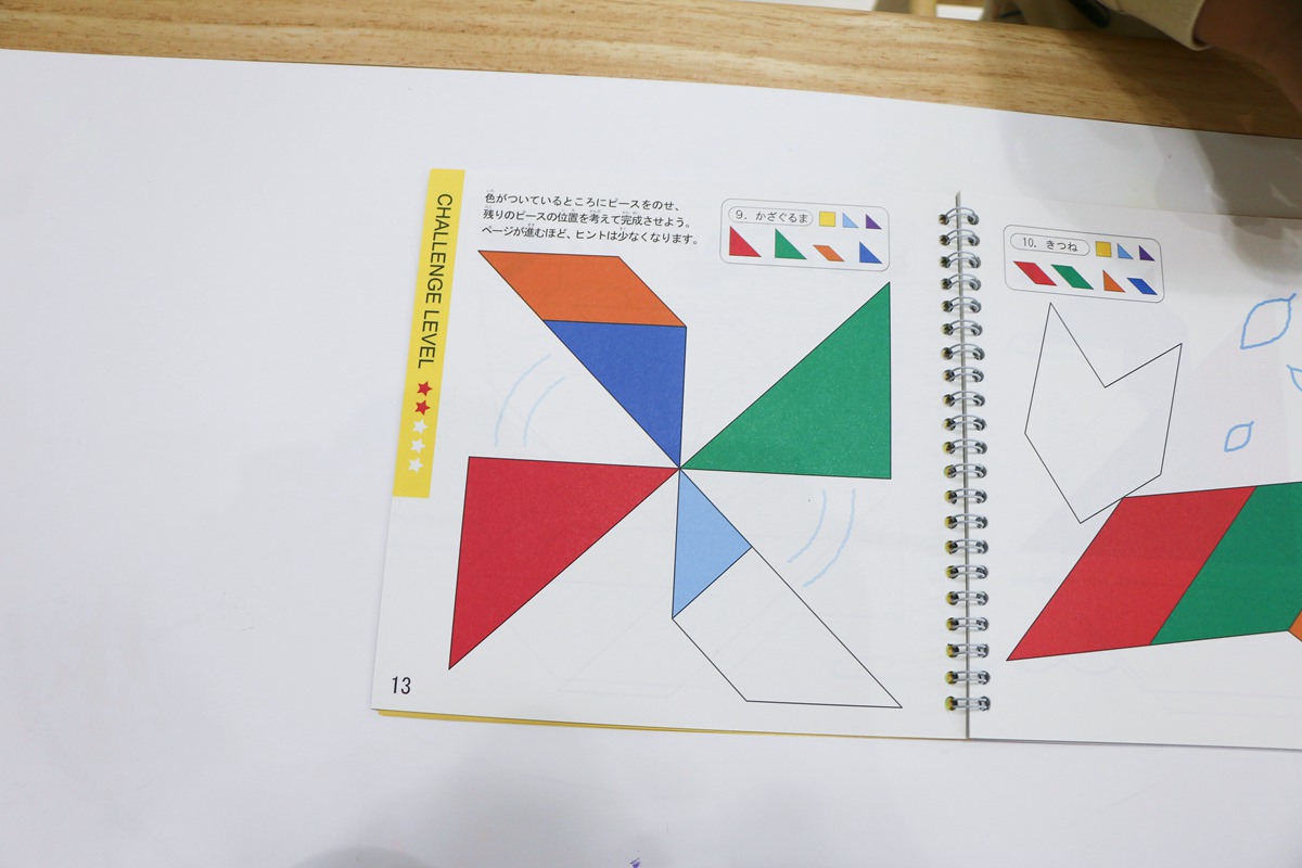 【團購】日本ED.INTER 積木、益智木頭玩具 可以玩很久的益智遊戲