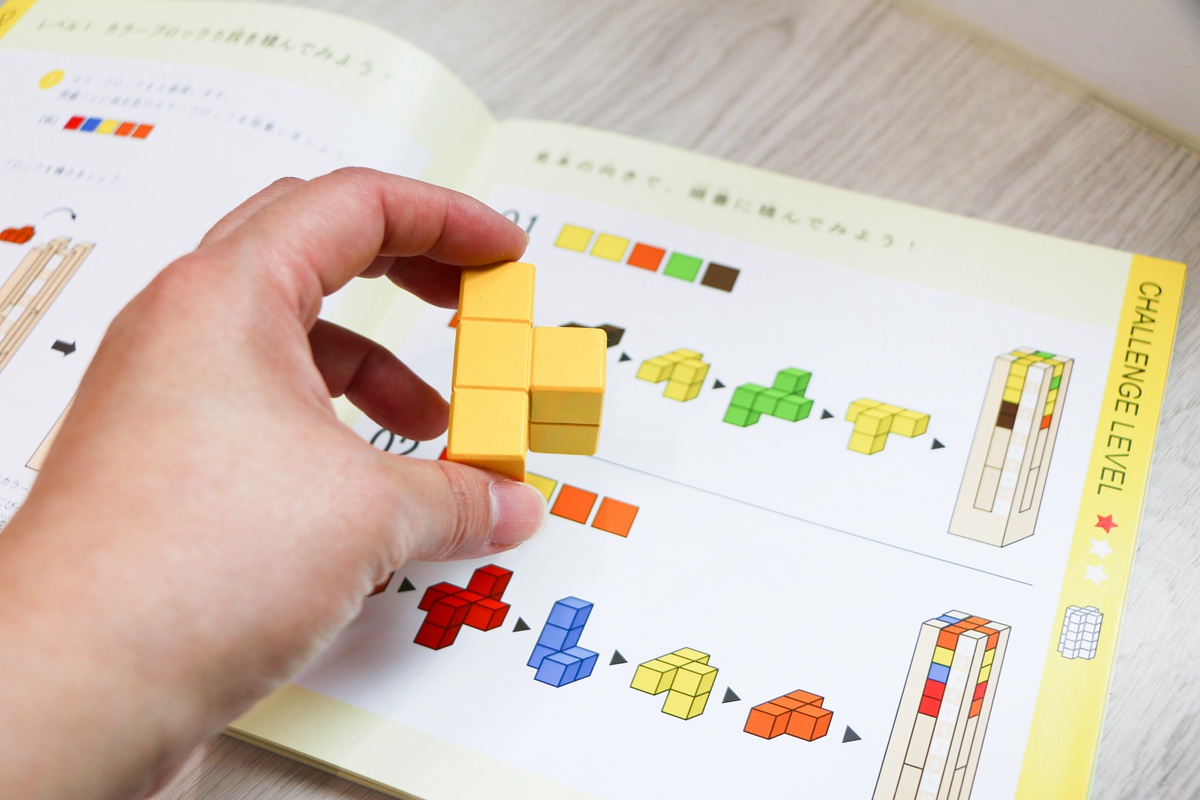 【團購】日本ED.INTER 積木、益智木頭玩具 可以玩很久的益智遊戲