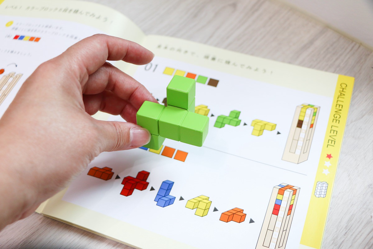 【團購】日本ED.INTER 積木、益智木頭玩具 可以玩很久的益智遊戲