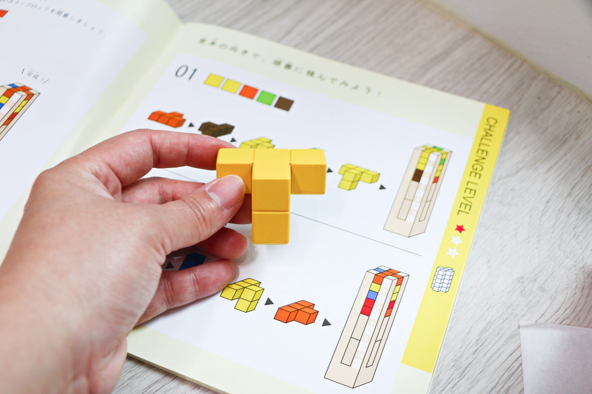 【團購】日本ED.INTER 積木、益智木頭玩具 可以玩很久的益智遊戲