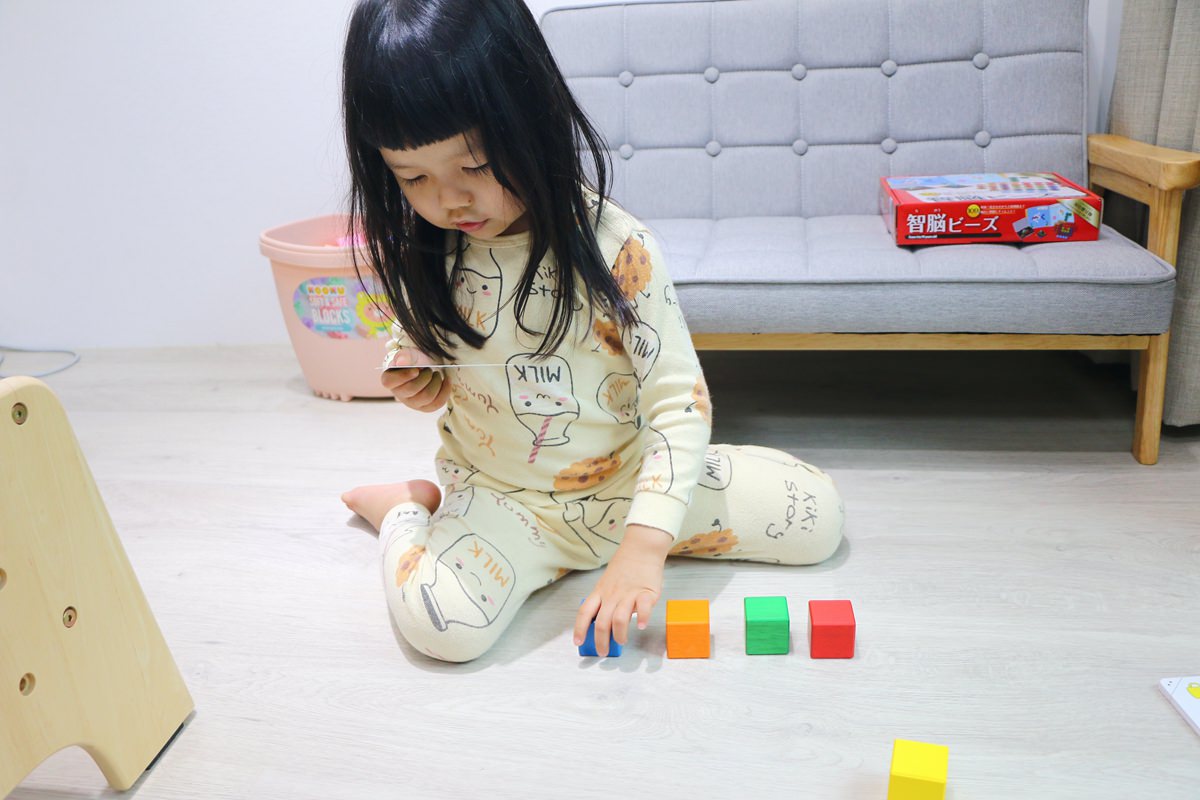 【團購】日本ED.INTER 積木、益智木頭玩具 可以玩很久的益智遊戲