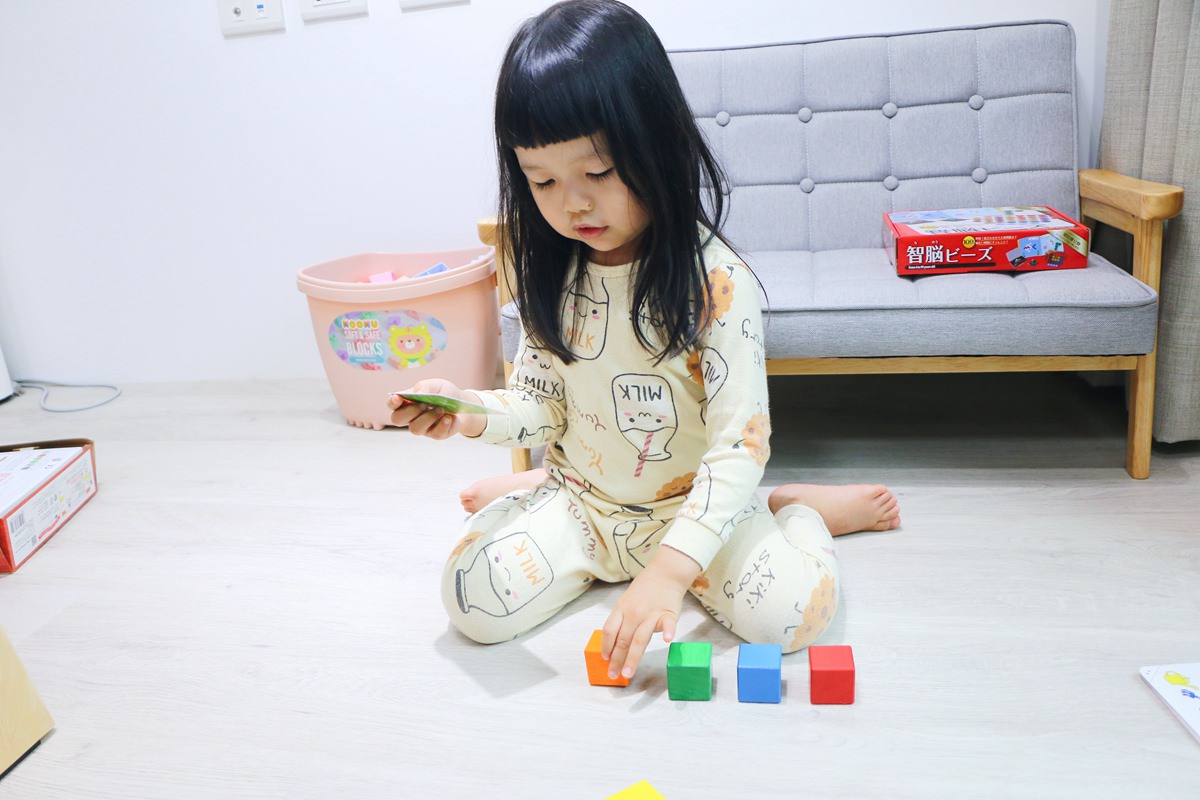 【團購】日本ED.INTER 積木、益智木頭玩具 可以玩很久的益智遊戲