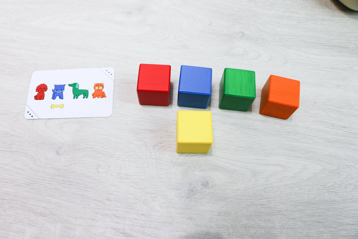 【團購】日本ED.INTER 積木、益智木頭玩具 可以玩很久的益智遊戲