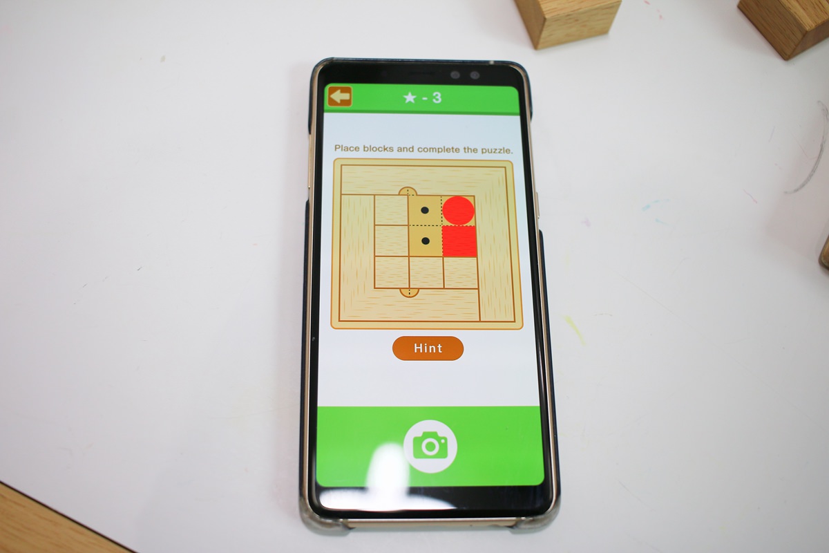 【團購】日本ED.INTER 積木、益智木頭玩具 可以玩很久的益智遊戲