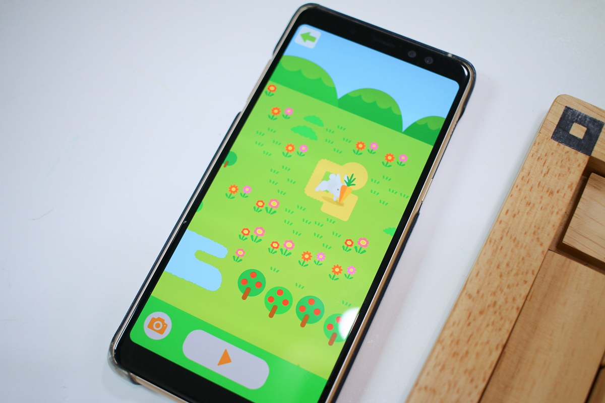 【團購】日本ED.INTER 積木、益智木頭玩具 可以玩很久的益智遊戲